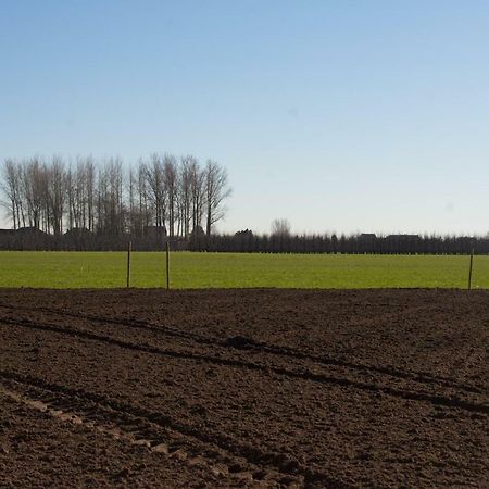 Willa 'Op De Borgt' Met Finse Grill Kota Wellen Zewnętrze zdjęcie