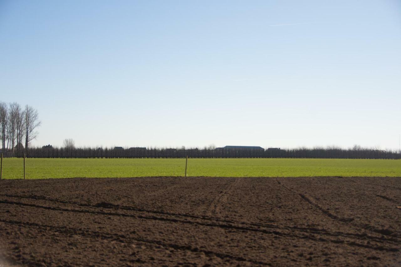 Willa 'Op De Borgt' Met Finse Grill Kota Wellen Zewnętrze zdjęcie